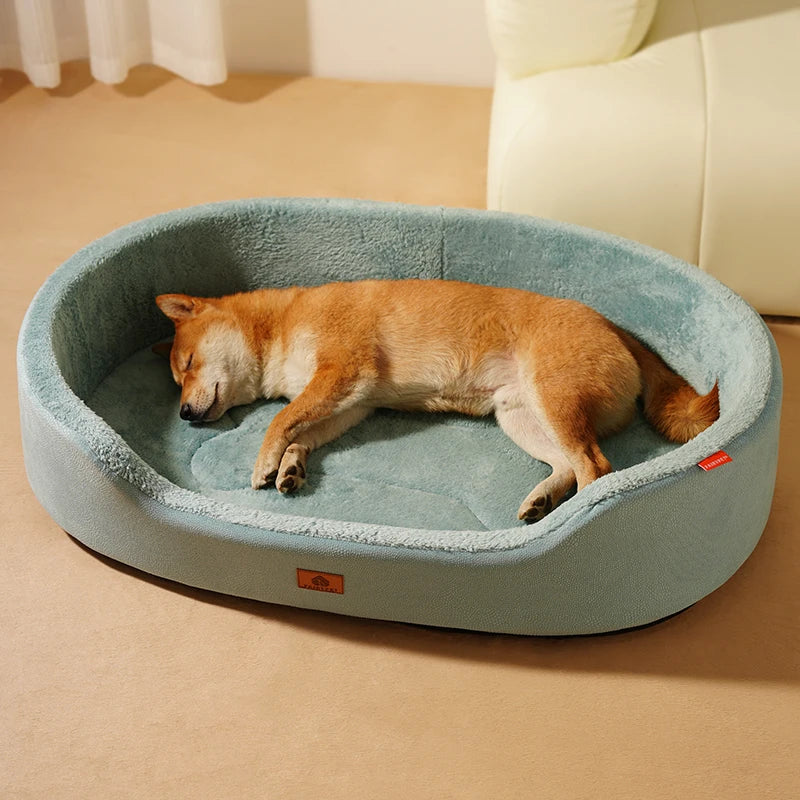 Panier pour chien grande taille dans un salon claire  Image