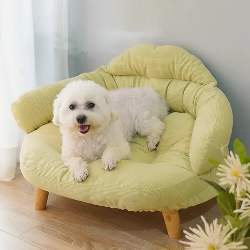 Panier pour chien sur pied dans un salon claire avec un chien blanc dessus 