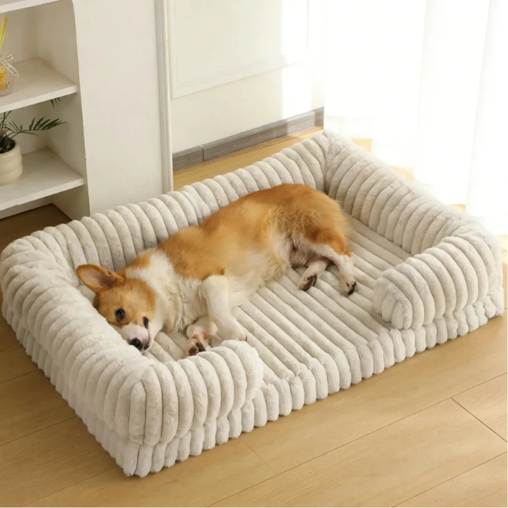 Panier pour chien velour cotele de couleur blanc avec un corgi claire couche dedans  Image