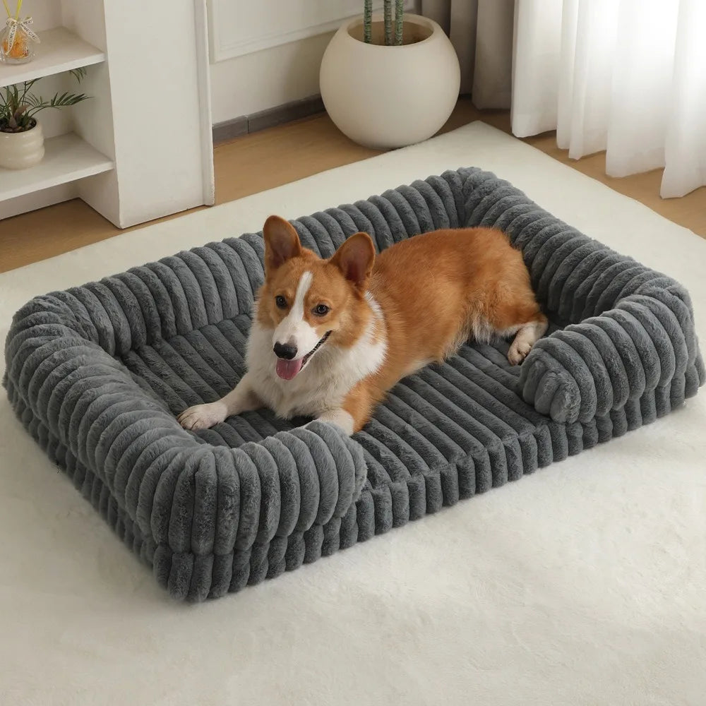 Panier pour chien velour cotele gris fonce avec un chien de couleur claire dans un salon de couleur claire  Image