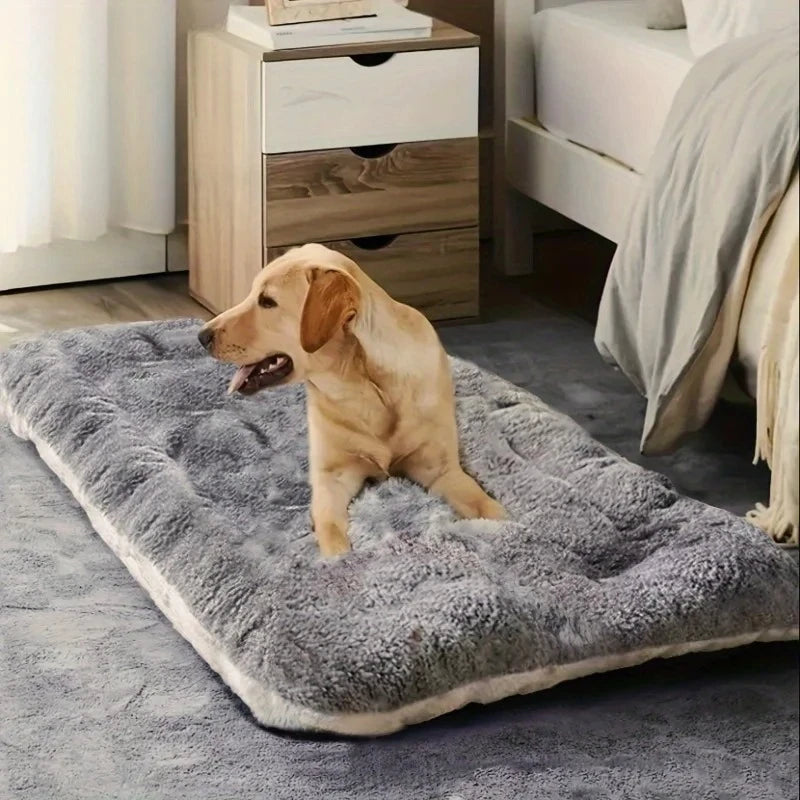 grand chien sur un panier chien xxl déhoussable dans une chambre claire Image