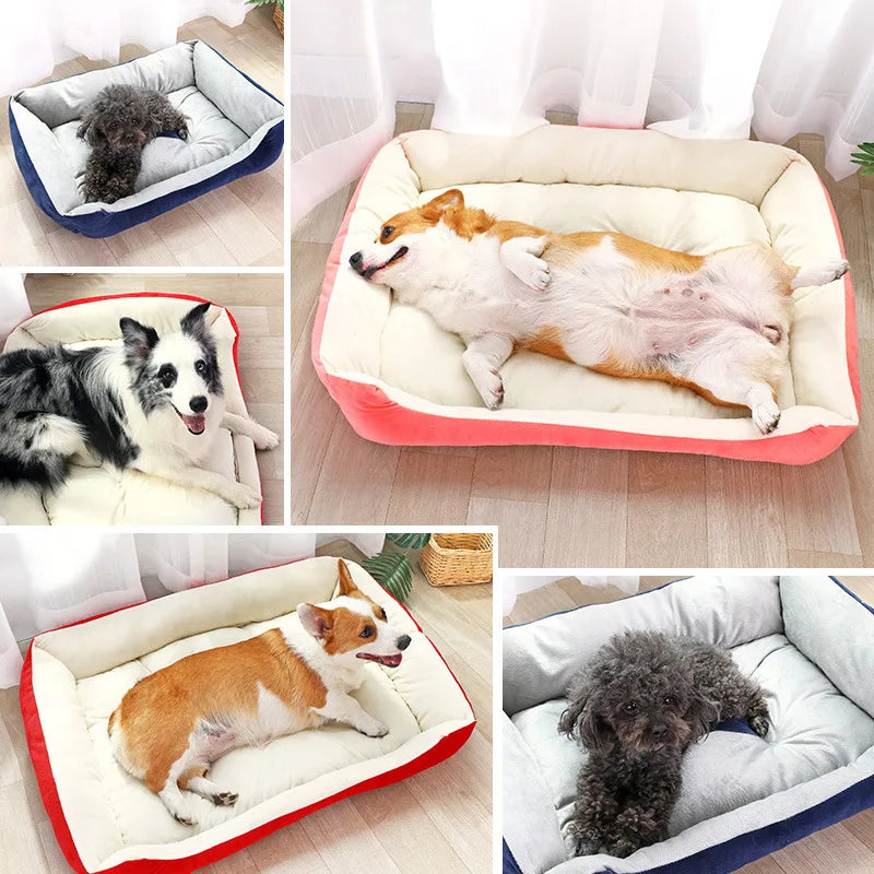 plusieurs images pour chien couché dans le panier pour chien. Image produit boutiquechien