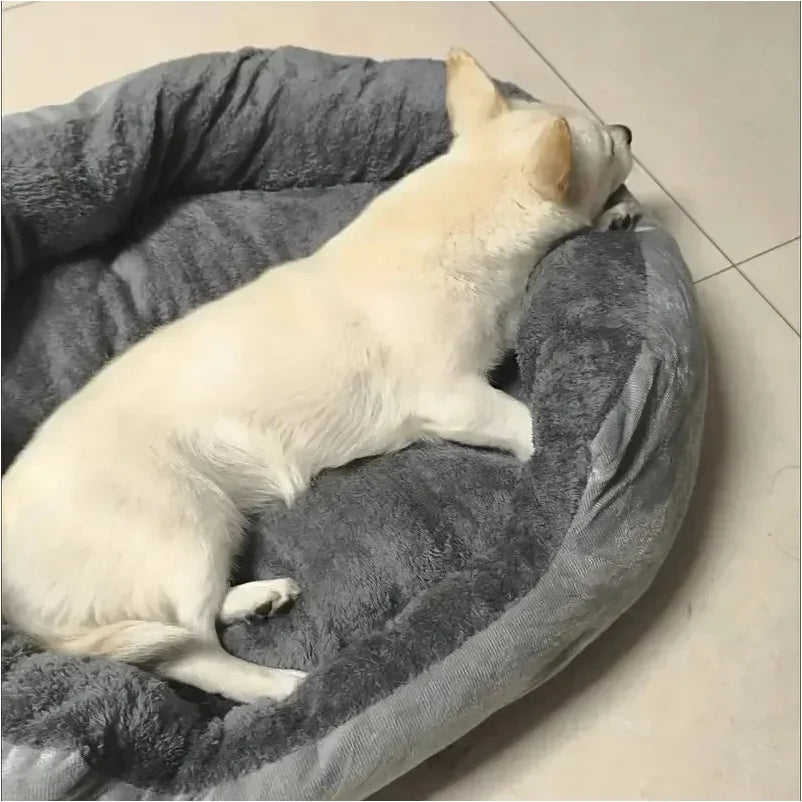 Panier pour petit chien chihuahua avec un petit chien blanc couche dedans Image