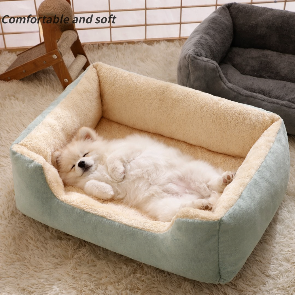 Panier pour petit chien pas cher avec un petit chien blanc couche Image