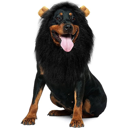 Grand chien de couleur noir portant une perruque en forme de crinière de lion noir pour chiens. le chien est couché en portant cette perruque de boutiquechien