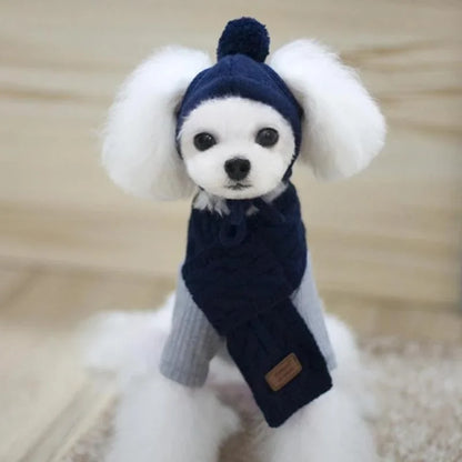 Petit chien de couleur blanc portant un bonnet avec écharpe de couleur bleu fonce de boutiquechien
