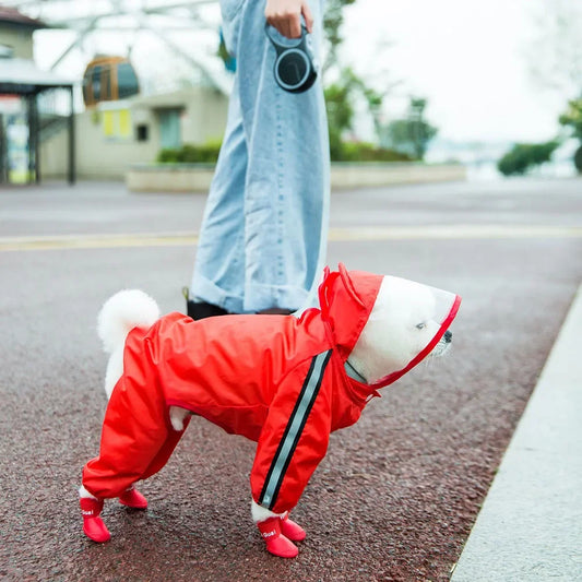 Petit chien blanc avec un imper rouge pour chien dans la rue. Image produit Boutiquechien
