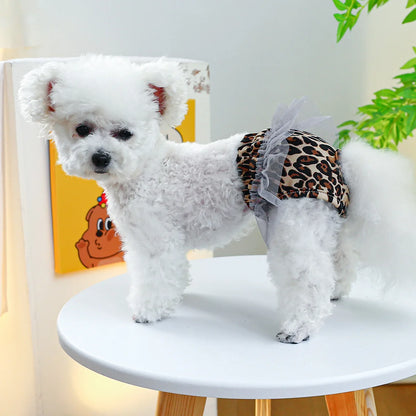 Petit chien de couleur blanc portant une couche tutu léopard. Le chien est de bout sur la table bleu. Image produit Boutiquechein