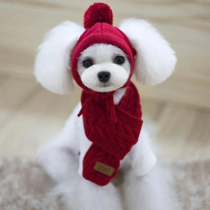 Bonnet avec une écharpe de couleur rouge sur un petit chine de couleur blanc. Image produit Boutiquechien