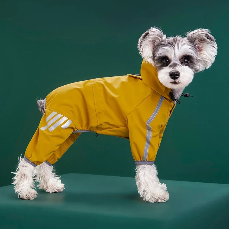 Petit chien de couleur gris avec un imper pour chien de couleur moutarde. Image produit Boutiquechien