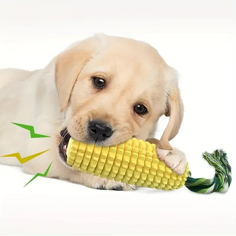 jouet résistant à mâchouiller pour chien. Le golden retriever de couleur blanc mâche son maïs jaune. Image produit Boutiquechien