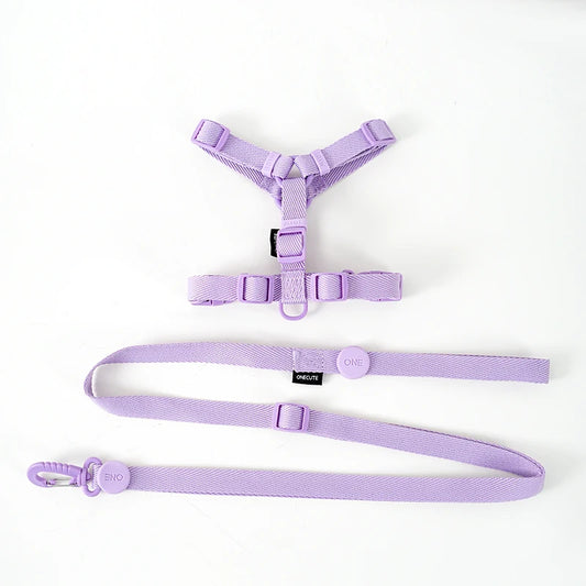 Petit harnais pour chien et chiot de couleur violet avec sa laisse violette. Image produit Boutiquechien