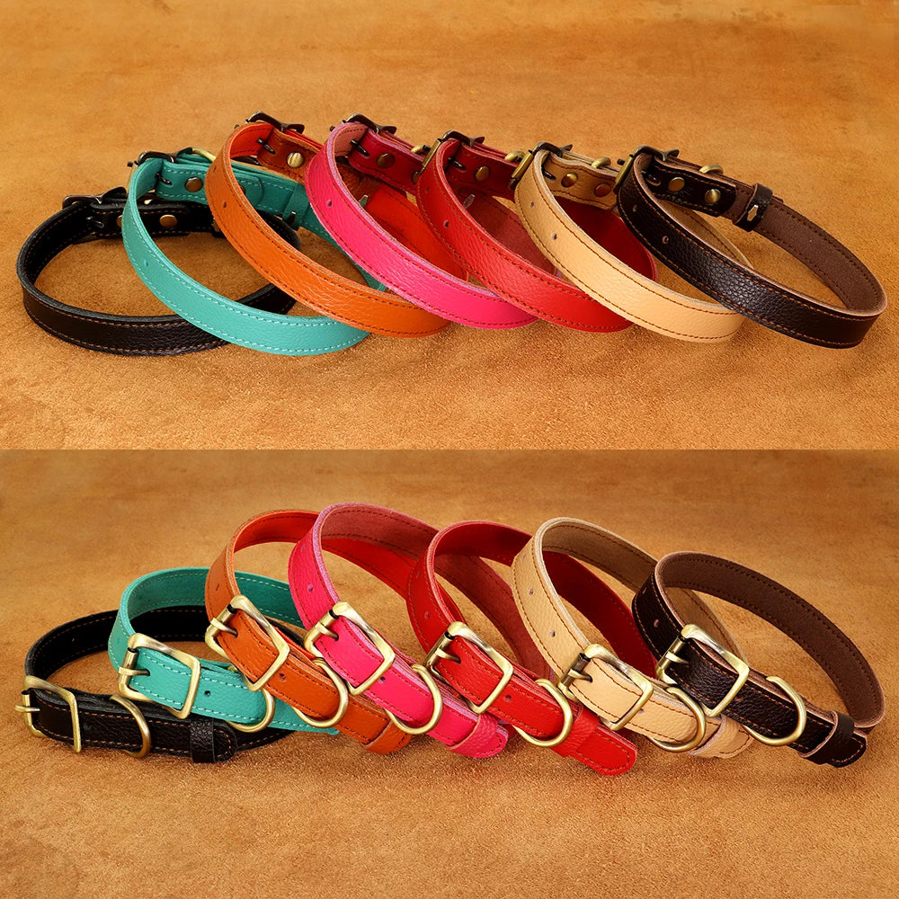 petit collier chien style cuir de couleurs noir, bleu, orange, rose, rouge, blanc et noir. Ces colliers style cuir sont parfait pour les petits chiens. Image produit Boutiquechien Image