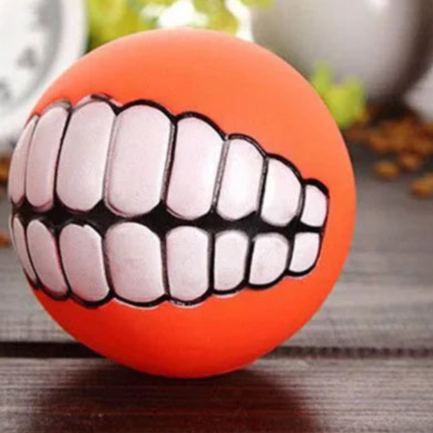 Pouic pouic chien orange sur une table