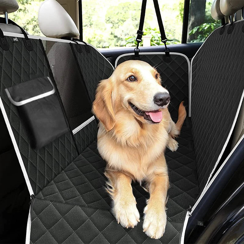 Protection banquette voiture chien avec un gros chien claire a l arrière de la banquette Image