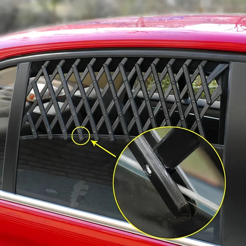 Protection chien voiture grille sur une voiture rouge  Image
