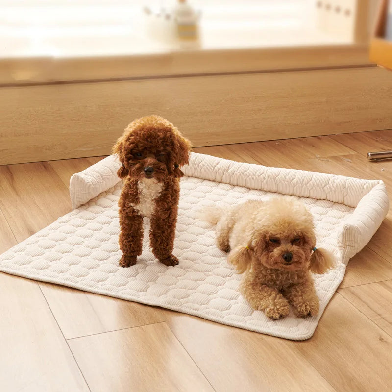 Protege canape pour chien sur un sol de couleur claire  Image