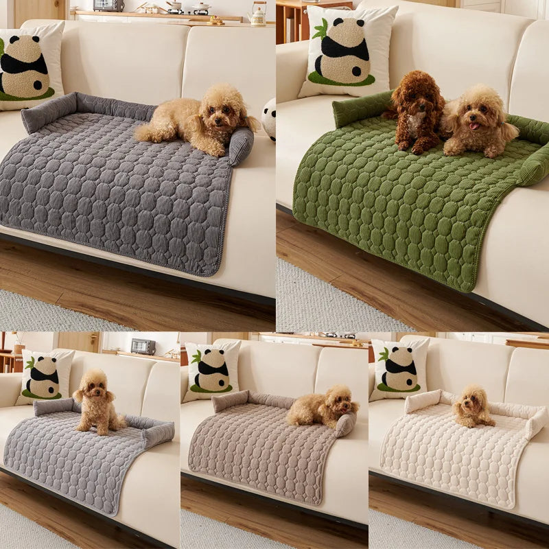 Protege canape pour chien sur un canapé blanc dans un salon claire  Image