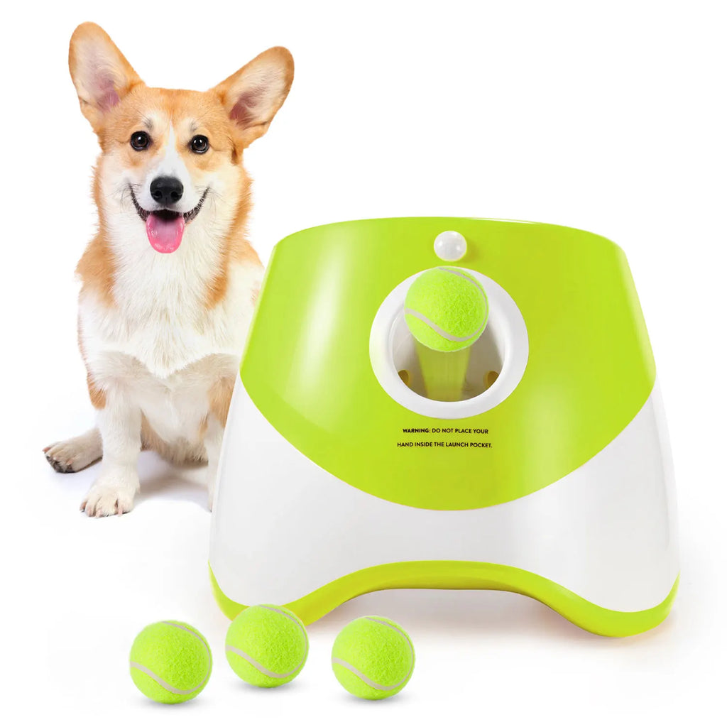 Lanceur de balle automatique pour chien