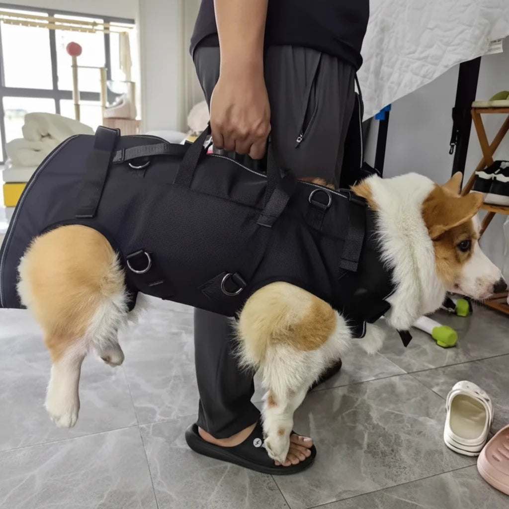 Sac a dos pour chien 10kg avec un chien tenu par une poignée sur le dos  Image