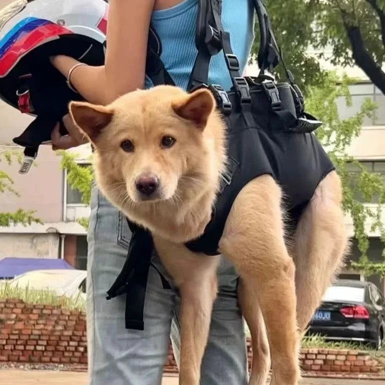Sac a dos pour chien 10kg avec un gros chien blanc dans le dos  Image