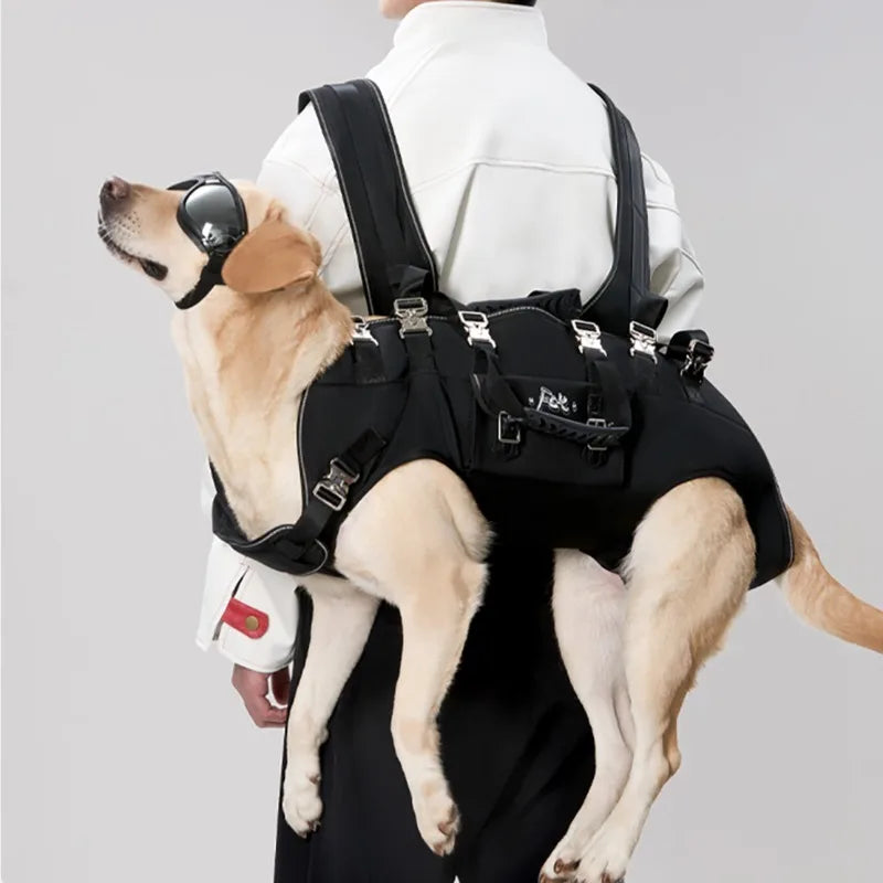 Sac à dos pour chien 20 kg dans le dos d'un homme Image