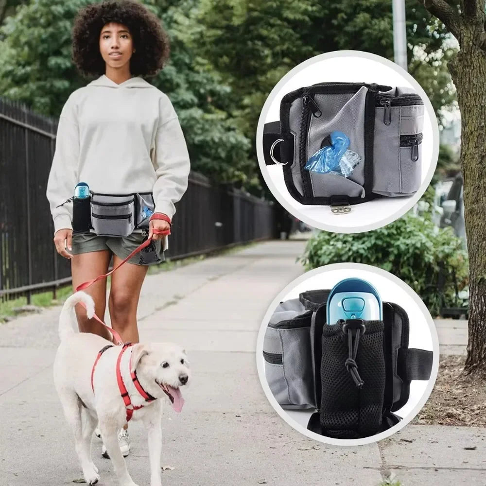 Sac pour friandises chien avec une femme promenant son chien dans la rue 