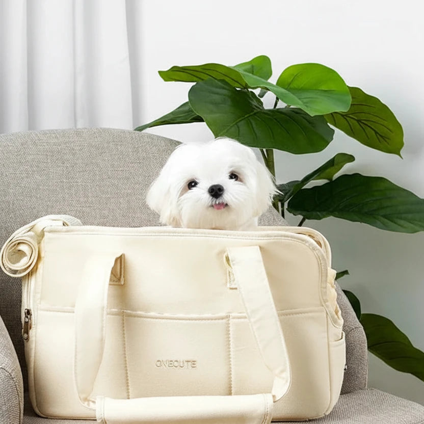 Sac pour transporter petit chien avec un petit chien blanc dans le sac blanc sur un fauteuil gris
