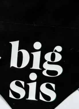 Bandana "Big Bro" pour chien