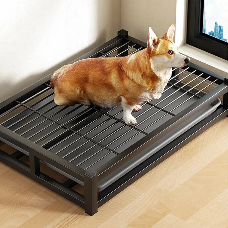 tapis d'apprentissage pour chien 