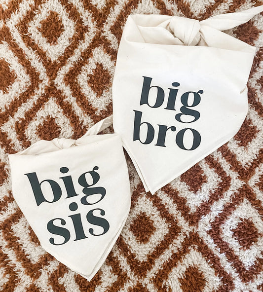 Bandana "Big Bro" pour chien