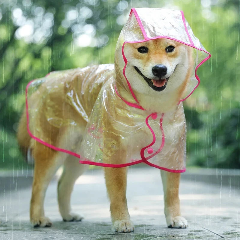 Imperméable pour chien de couleur rose et transparent sur un shiba de couleur claire. Le shiba est dans une rue avec la pluie qui tombe avec des arbres autour. Image produit Boutiquechien