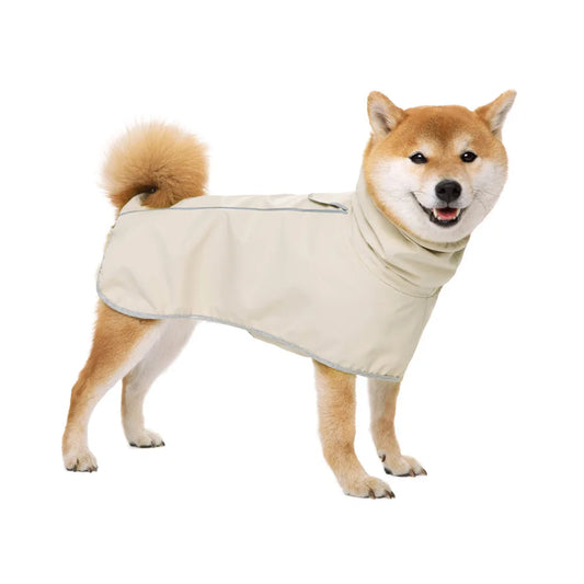 Shiba de couleur claire portant un imper pour chien de couleur gris. Image produit Boutiquechien 