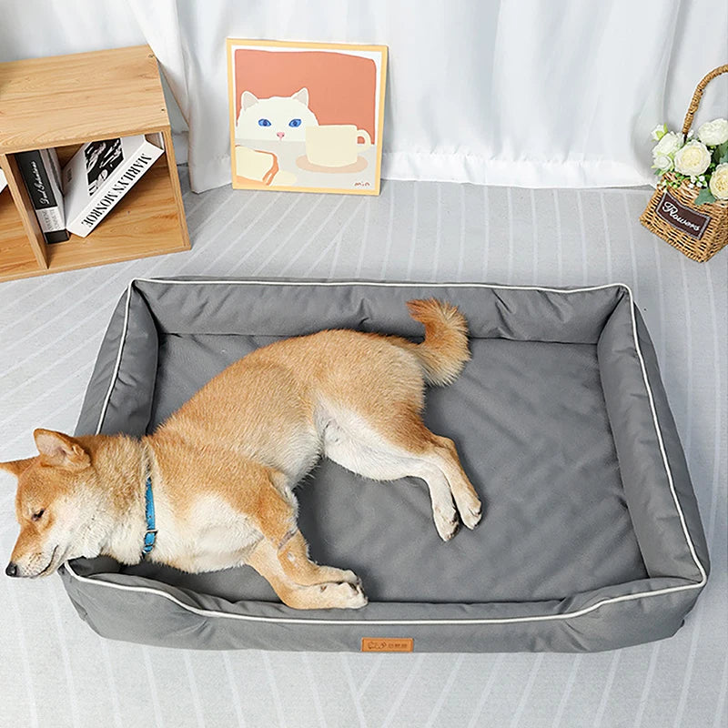 Shiba qui dort dans un panier gris de grande tailles pour chien de dimension XXL. Le tapis est posé sur le sol et en fond il y des petites décorations 