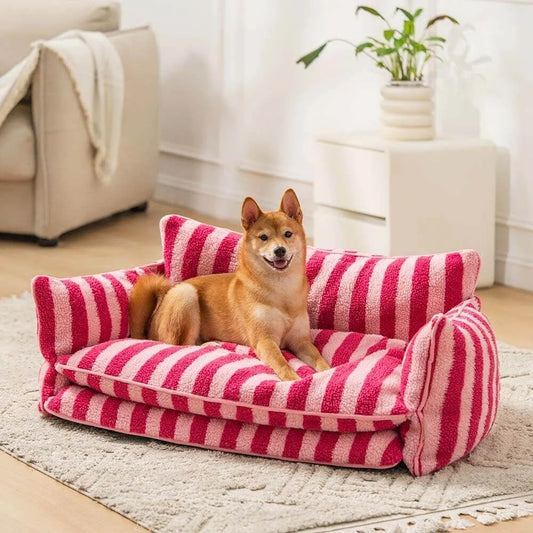 shiba sur un canapé de couleur rose pour chien avec en fond une plante verte et un canapé beige. Image produit Boutiquechien