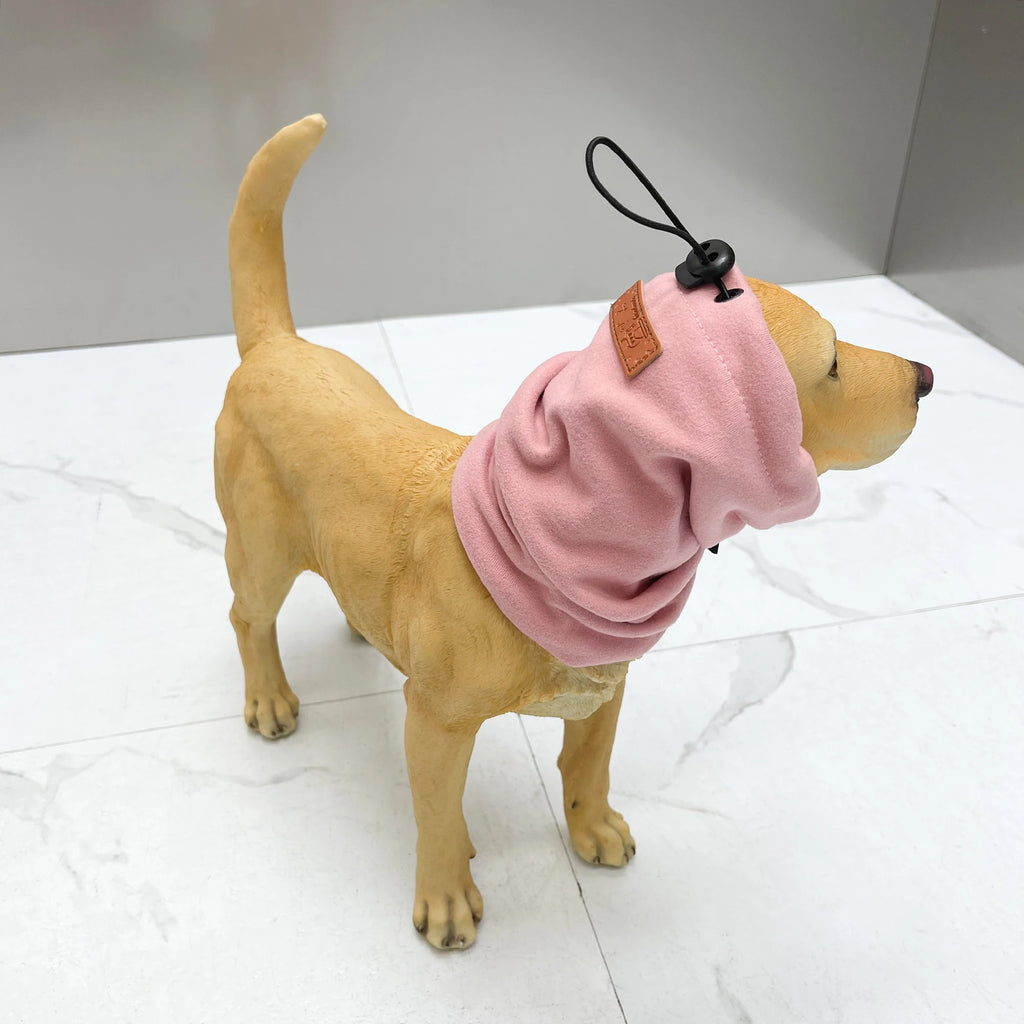 Snood cocker anglais rose sur un chien de couleur clair 