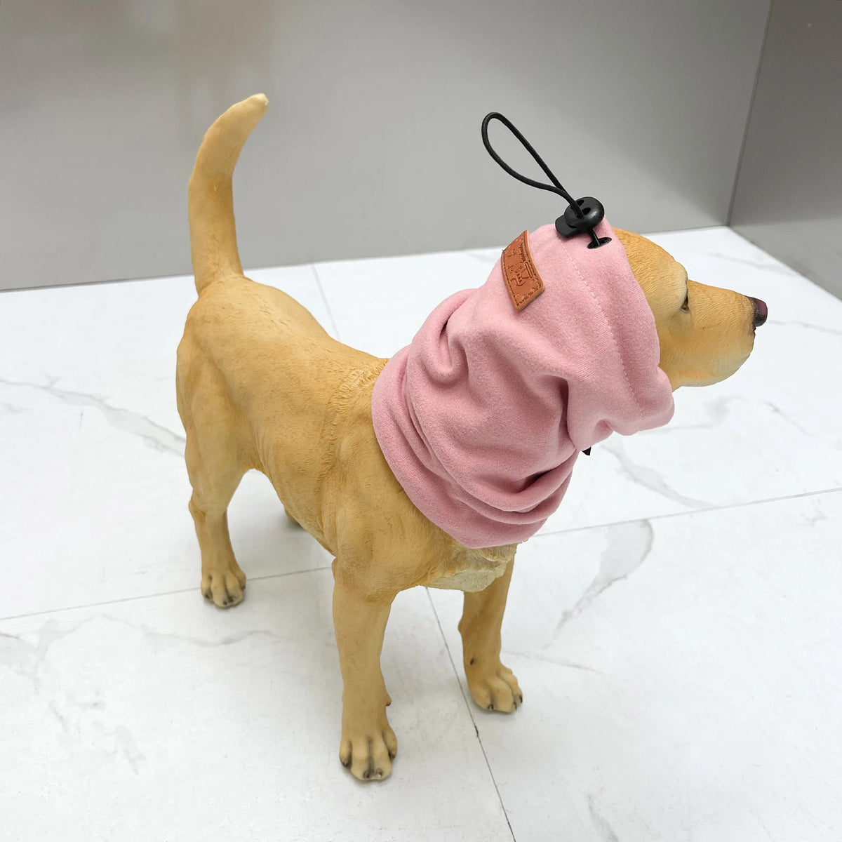 Snood cocker anglais rose sur un chien de couleur clair 