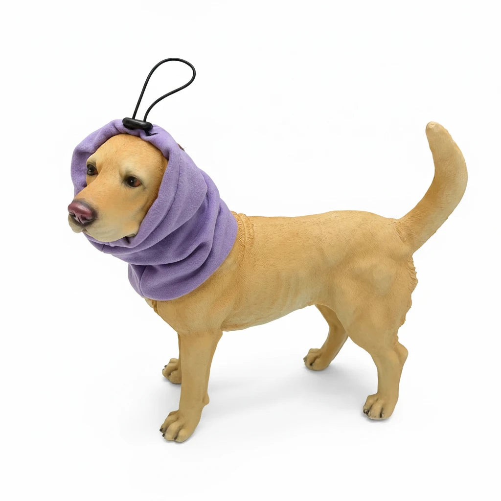 Snood cocker anglais de couleur violet sur un chien de couleur clair