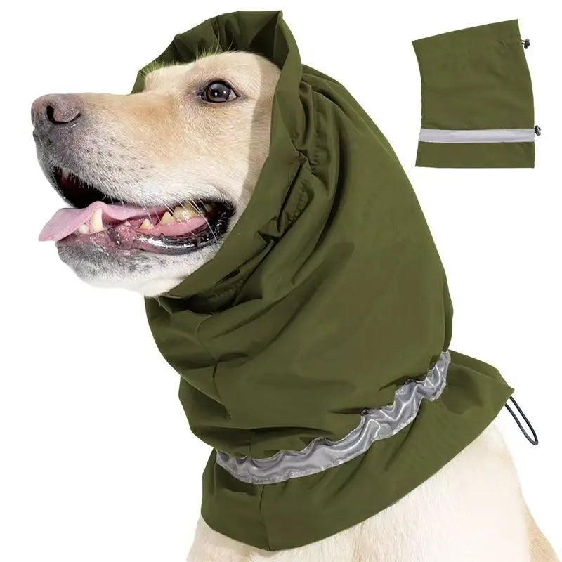 Snood imperméable cocker kaki sur un chien blanc