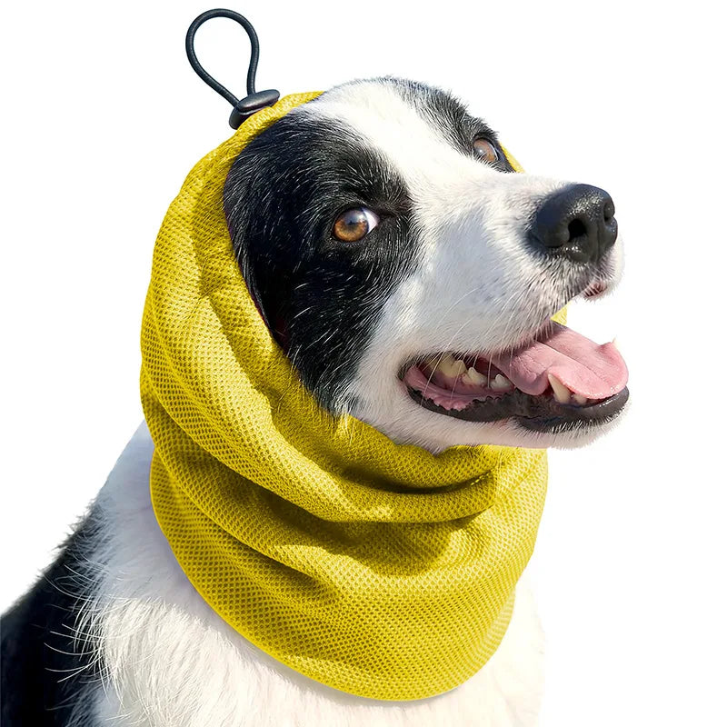 Snood pour cocker jaune