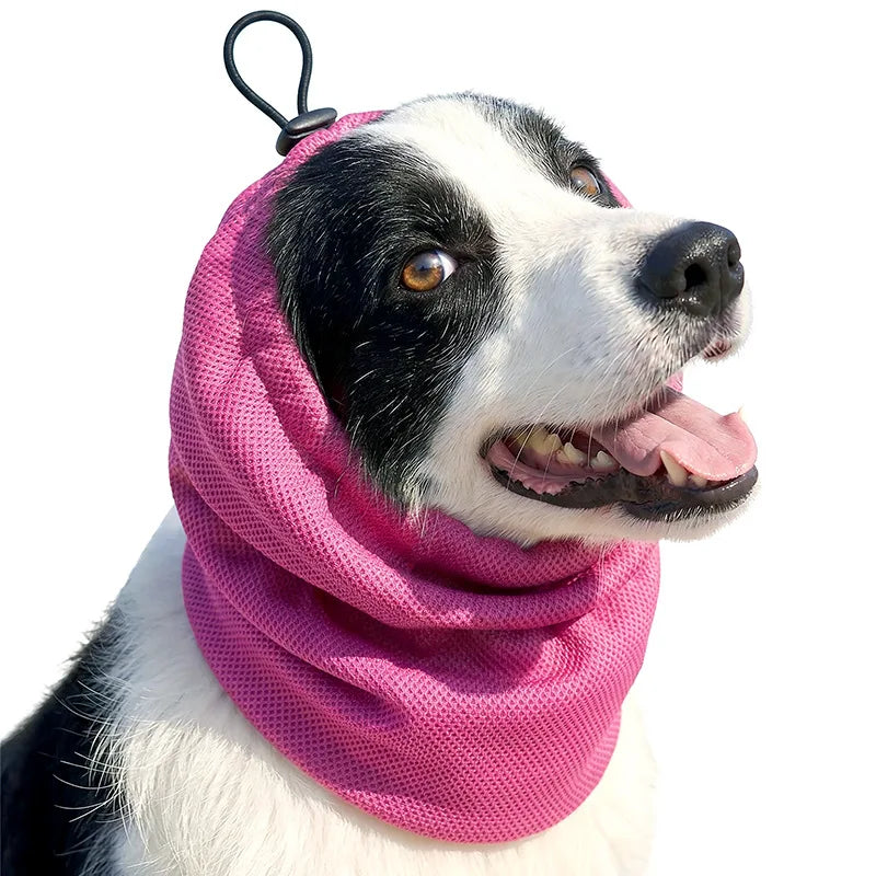 Snood pour cocker rose