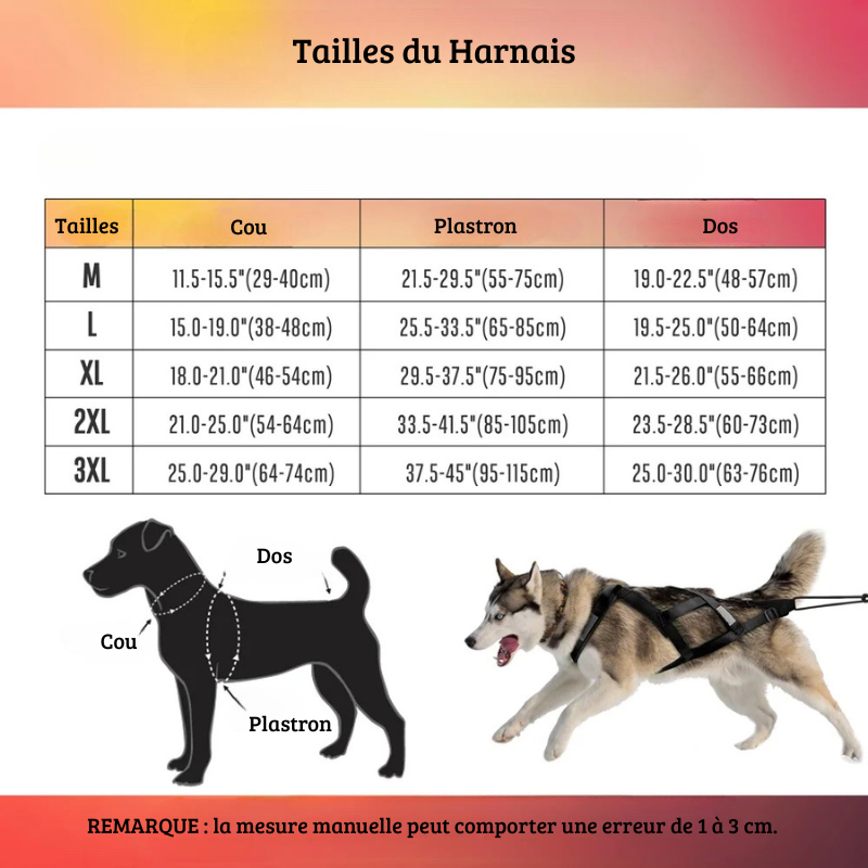 dimension du harnais canicross noir pour chien de M à 3XL. Fabriqué en nylon résistant 