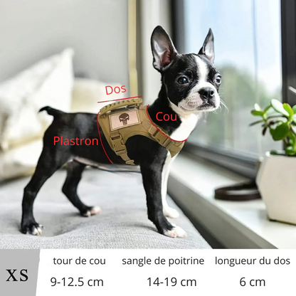 dimension total du harnais pour chien et petit chien. Le harnais chiot est de style militaire. Image produit Boutiquechien 