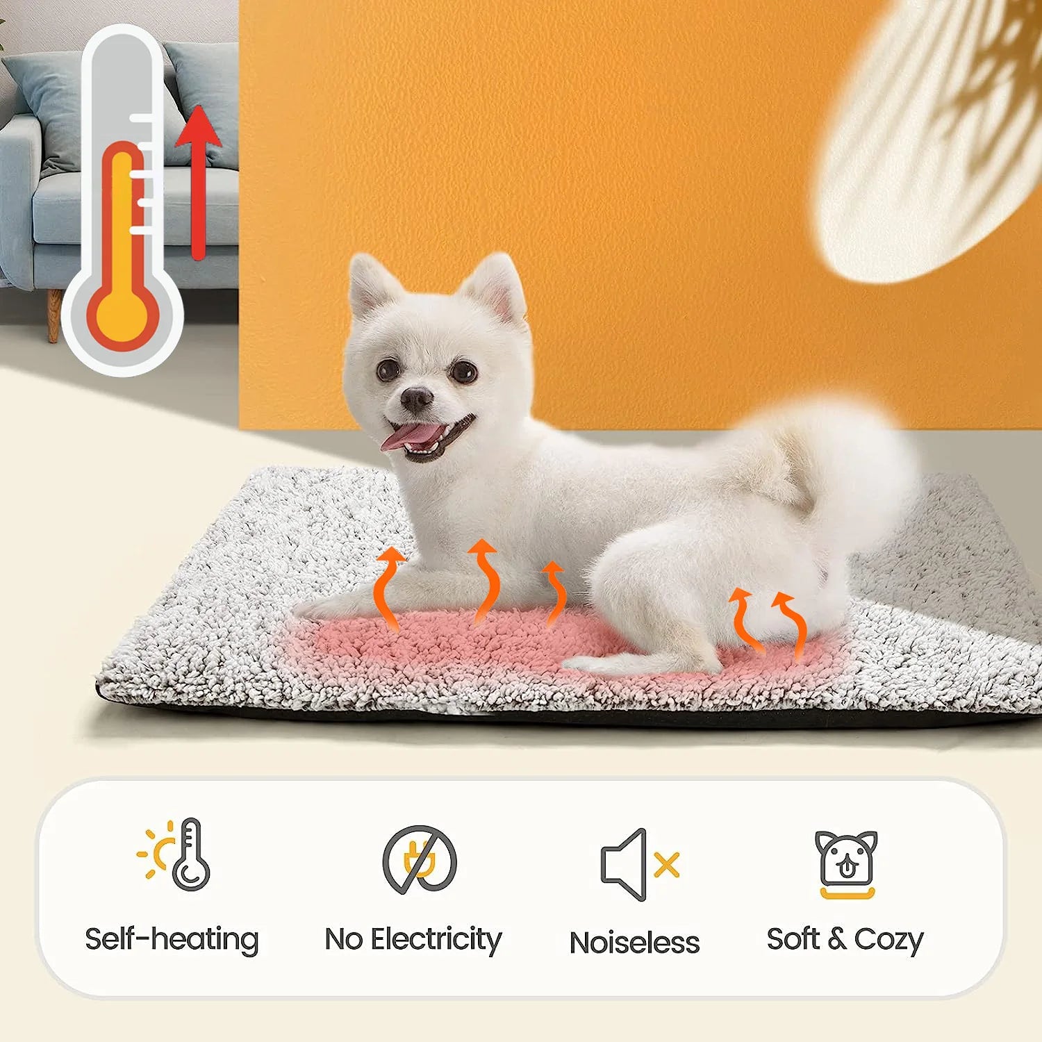 Tapis chauffant chien grande taille qualités produits  Image