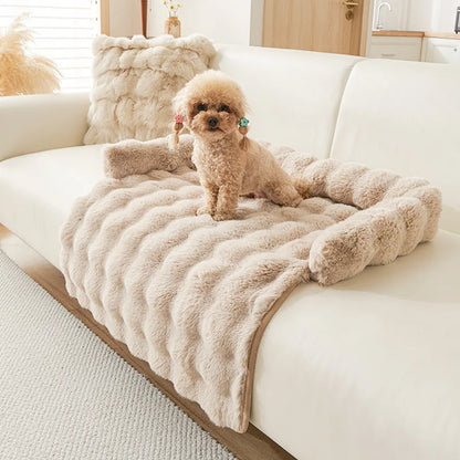 Tapis chien anti poils beige