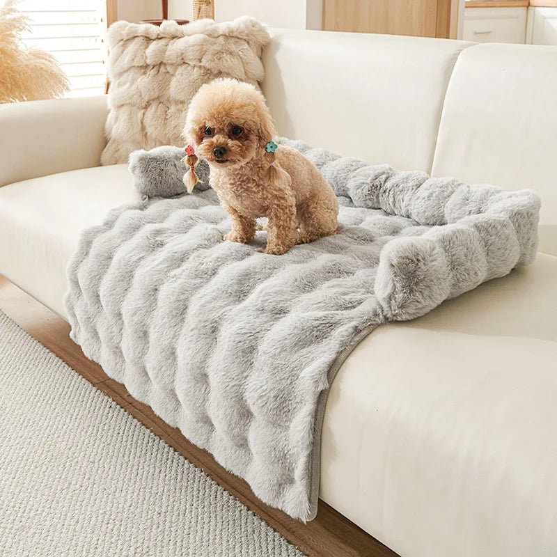 Tapis chien anti poils gris claire