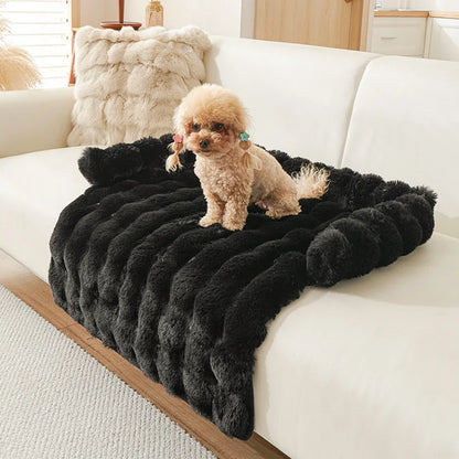 Tapis chien anti poils noir