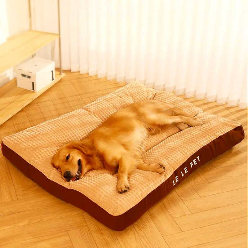 Tapis chien de couleur brun doux et moelleux dans une pièce de couleur claire. Le golden retriever brun et couché sur son tapis en se reposant. Image produit Boutiquechien