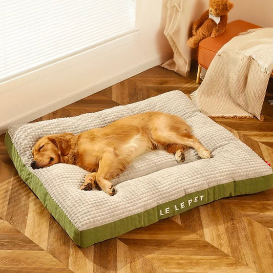 Tapis chien de couleur vert doux et moelleux avec un golden retriever brun dormant sur le tapis moelleux. Le tapis chien est posé dans une pièce de couleur claire. Image produit Boutiquechien