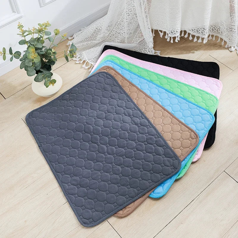 Tapis chien de couleurs absorbant pour tous les chiens. Image produit Boutiquechien 
